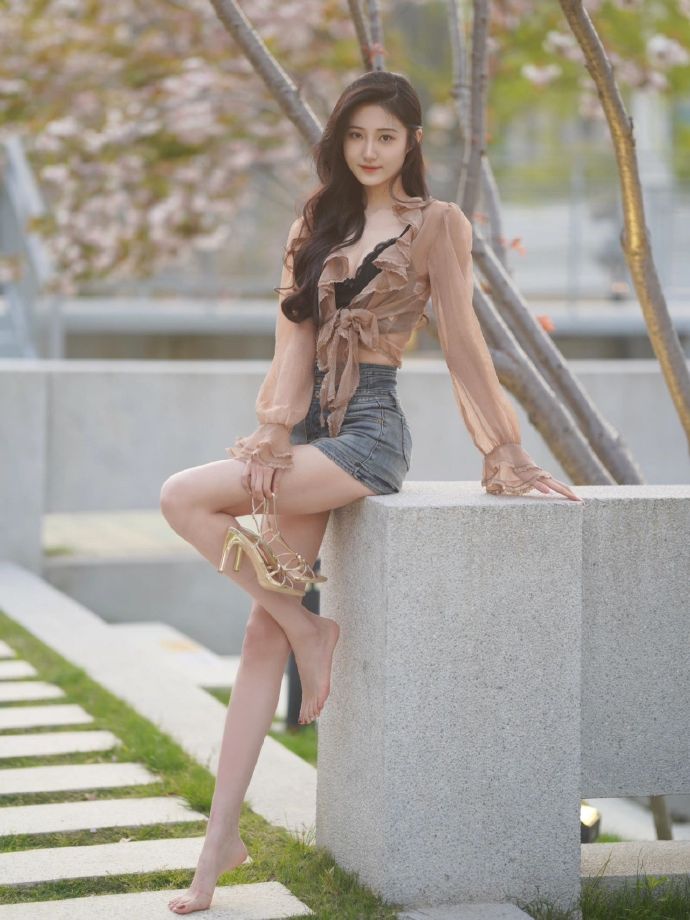风骚律师